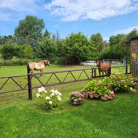 Poggenhagen Urlaub Mitten In Der Natur Neustadt am Rübenberge Zewnętrze zdjęcie