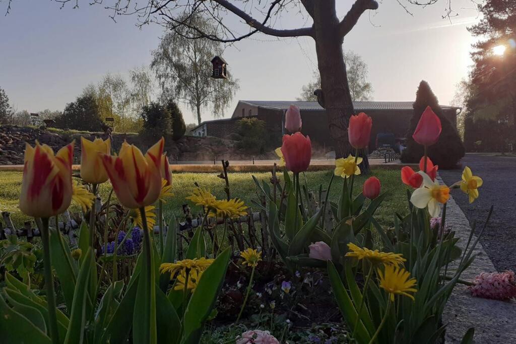 Poggenhagen Urlaub Mitten In Der Natur Neustadt am Rübenberge Zewnętrze zdjęcie